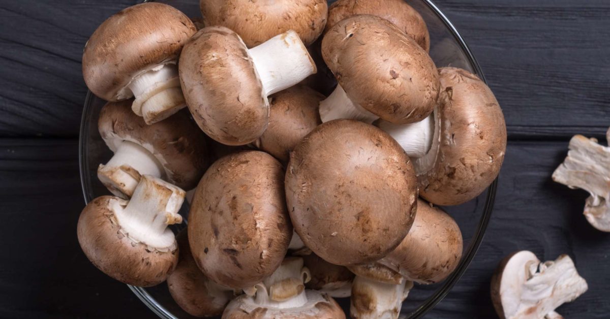 قارچ های مفید برای سلامتی