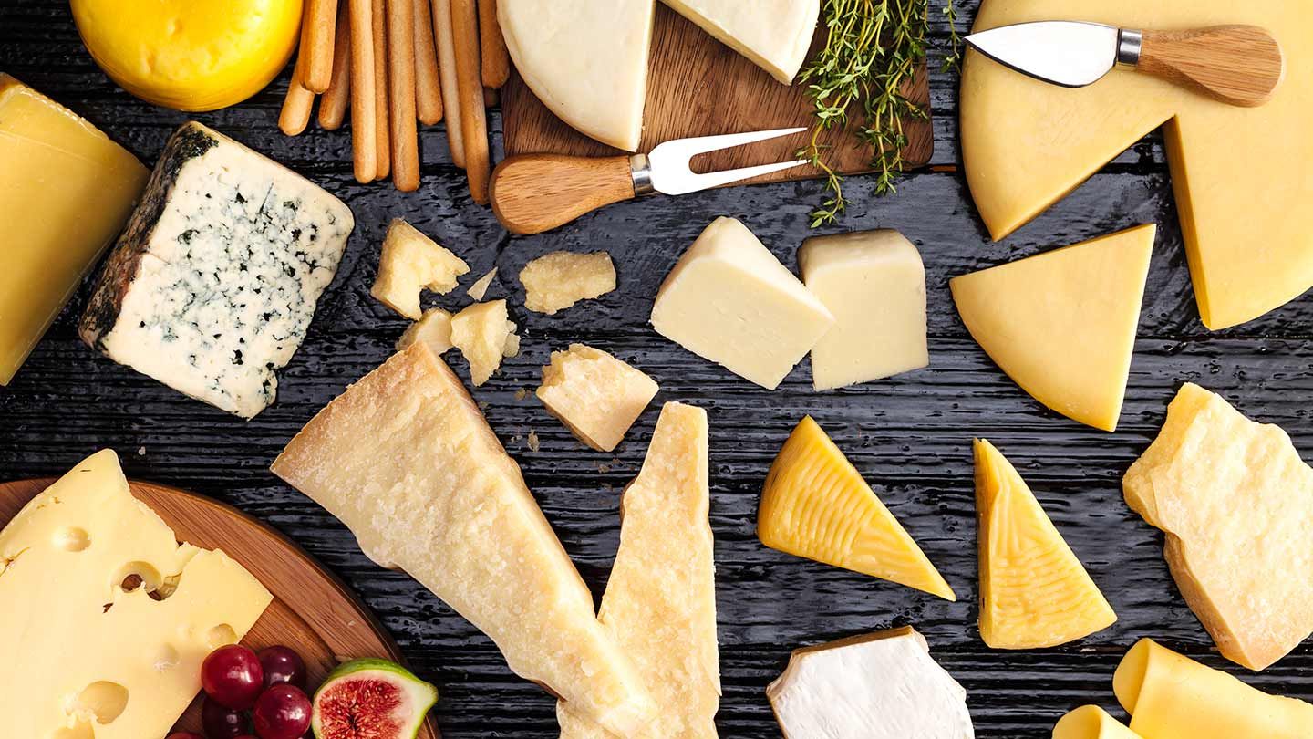 انواع مختلف پنیر های لبنی