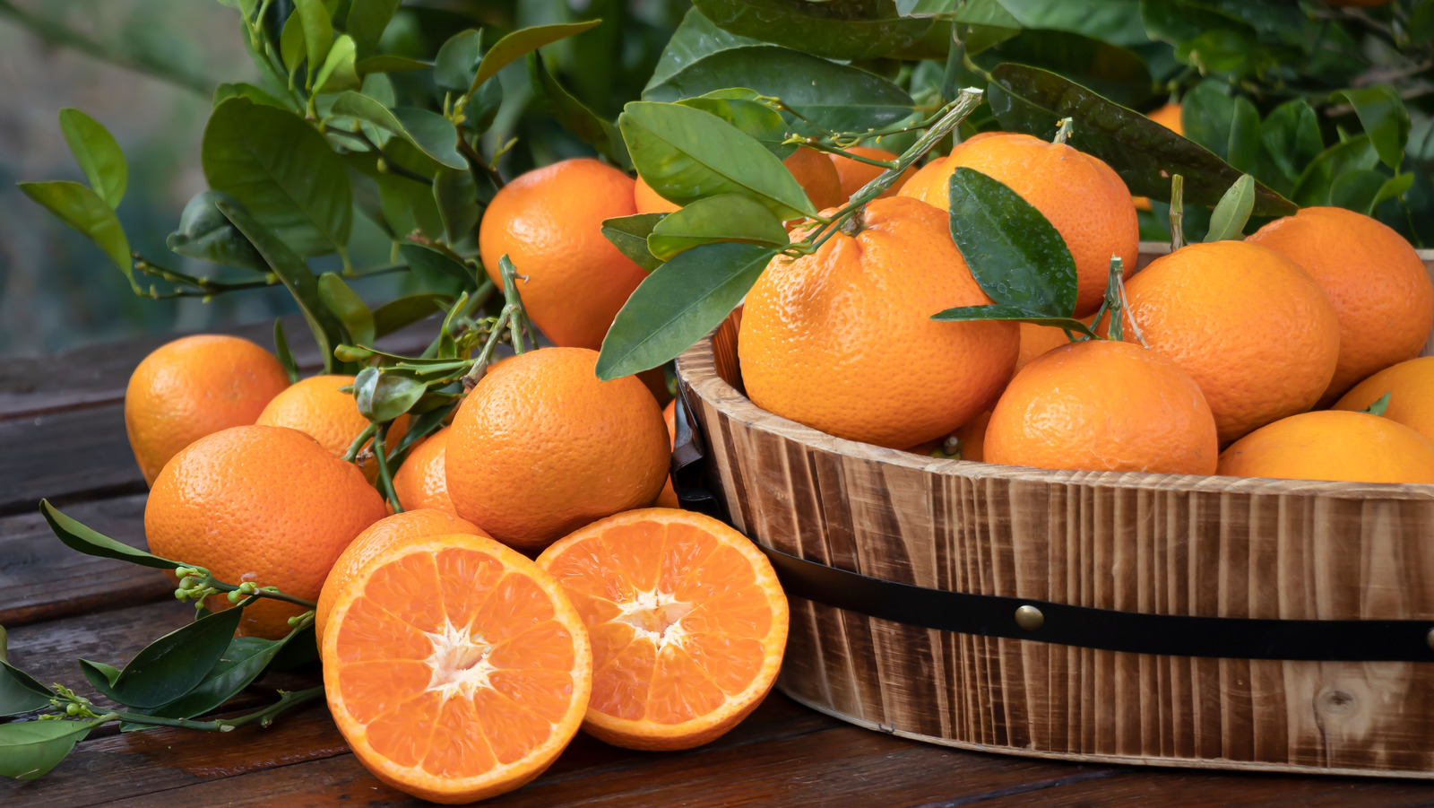 فواید پرتقال در سلامتی بدن