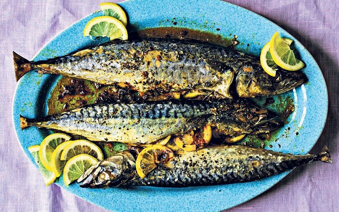 طرز تهیه ماهی خال خالی اسپانیایی